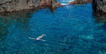 un pájaro volando sobre el agua