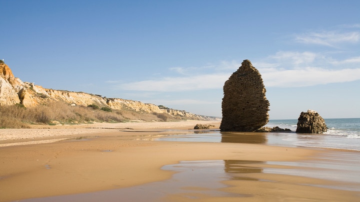 un grupo de personas en una playa cerca de un cuerpo de agua