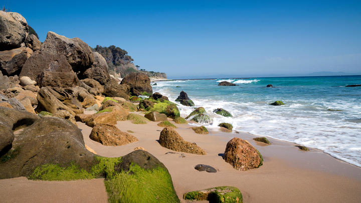 una playa rocosa junto al océano