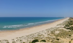 una playa de arena junto al océano
