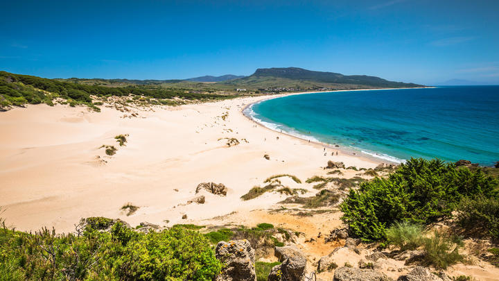 una playa de arena junto a un cuerpo de agua