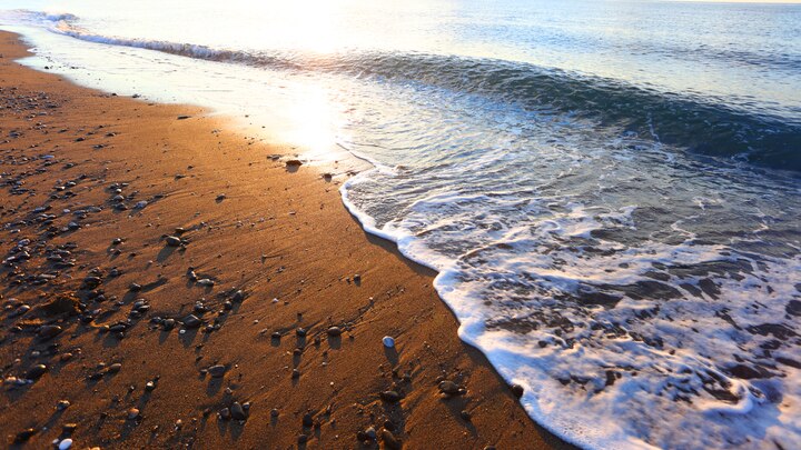 una playa de arena junto al océano