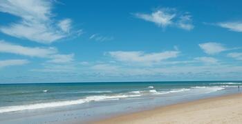a sandy beach next to the ocean